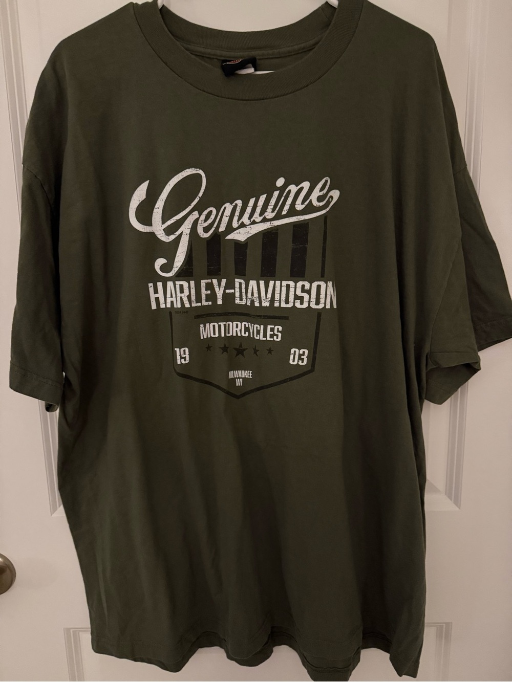 Harley-Davidson Olive Green Men’s Graphic T-Shirt